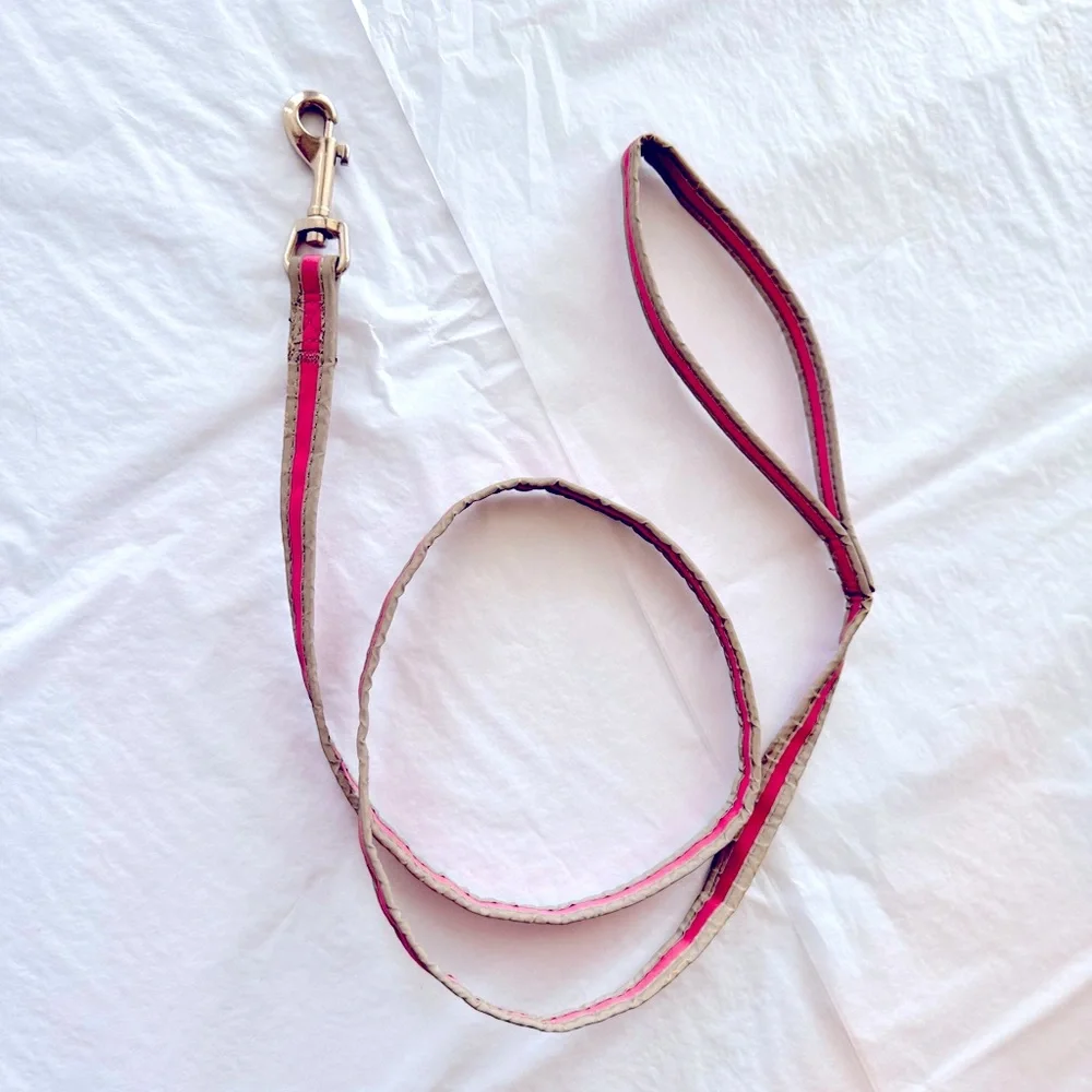 REFLECTIVE Stylish Pink Grey & Silver Dog Leash 49”
